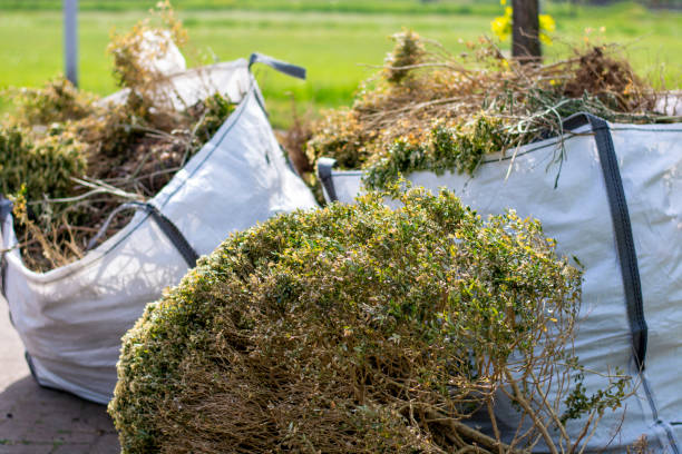 Best Professional Junk Removal  in Shinglehouse, PA